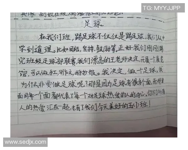 足球节的精彩瞬间与个人收获的深刻体会分享